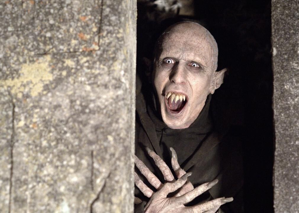 #40. What We Do in the Shadows (2014)